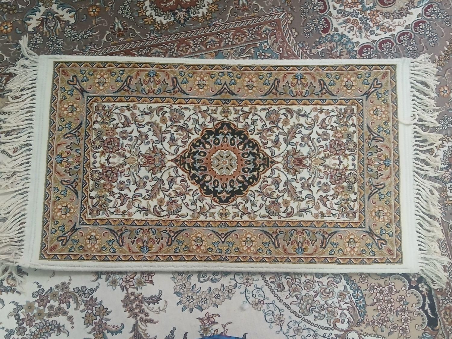 دم دری یا پادری|پادری|مشهد, شیرودی|دیوار