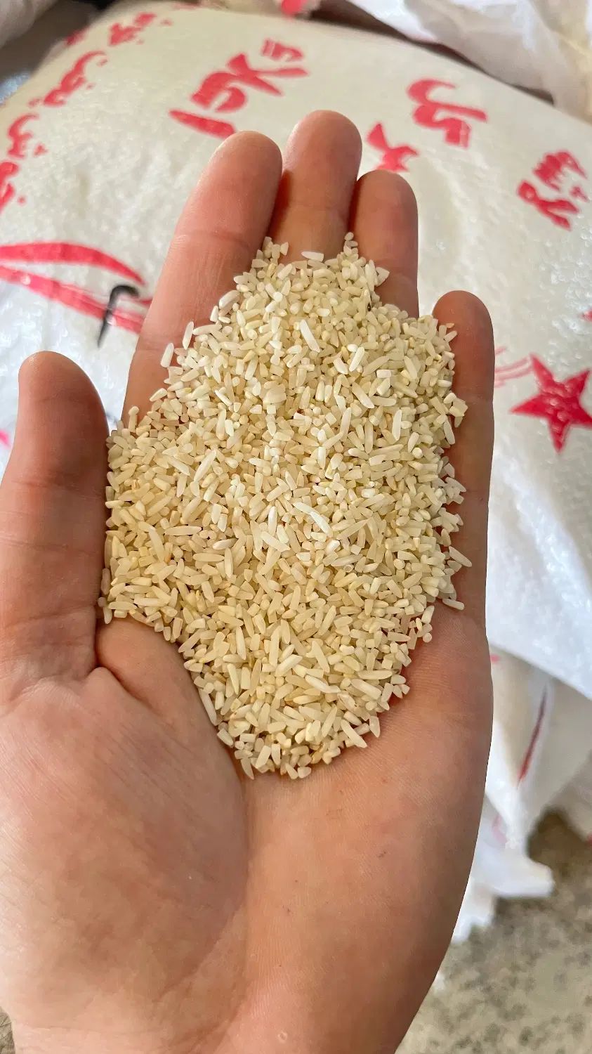 فروش برنج و نیمدانه و لاشه و ضایعات برنجی|خوردنی و آشامیدنی|گرگان, |دیوار