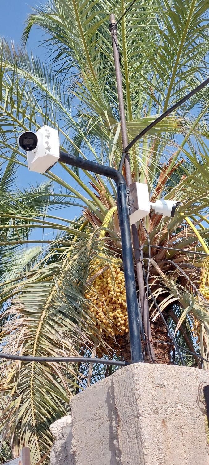 دوربین مداربسته دزدگیر اماکن|دوربین مداربسته|خورموج, |دیوار