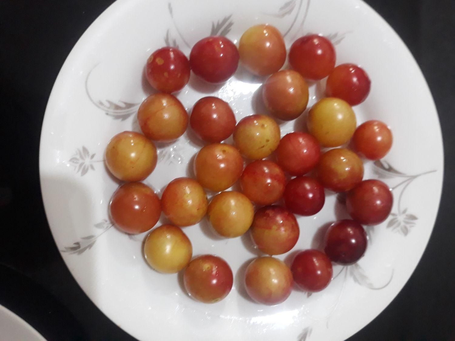 آلوچه جنگلی قرمز و ملس|خوردنی و آشامیدنی|رودسر, |دیوار