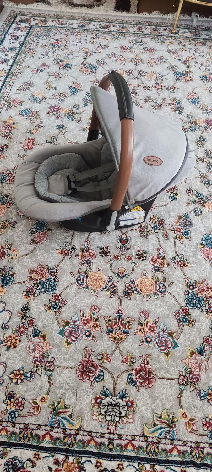 کریر نوزاد|کالسکه و لوازم جانبی|نشتارود, |دیوار