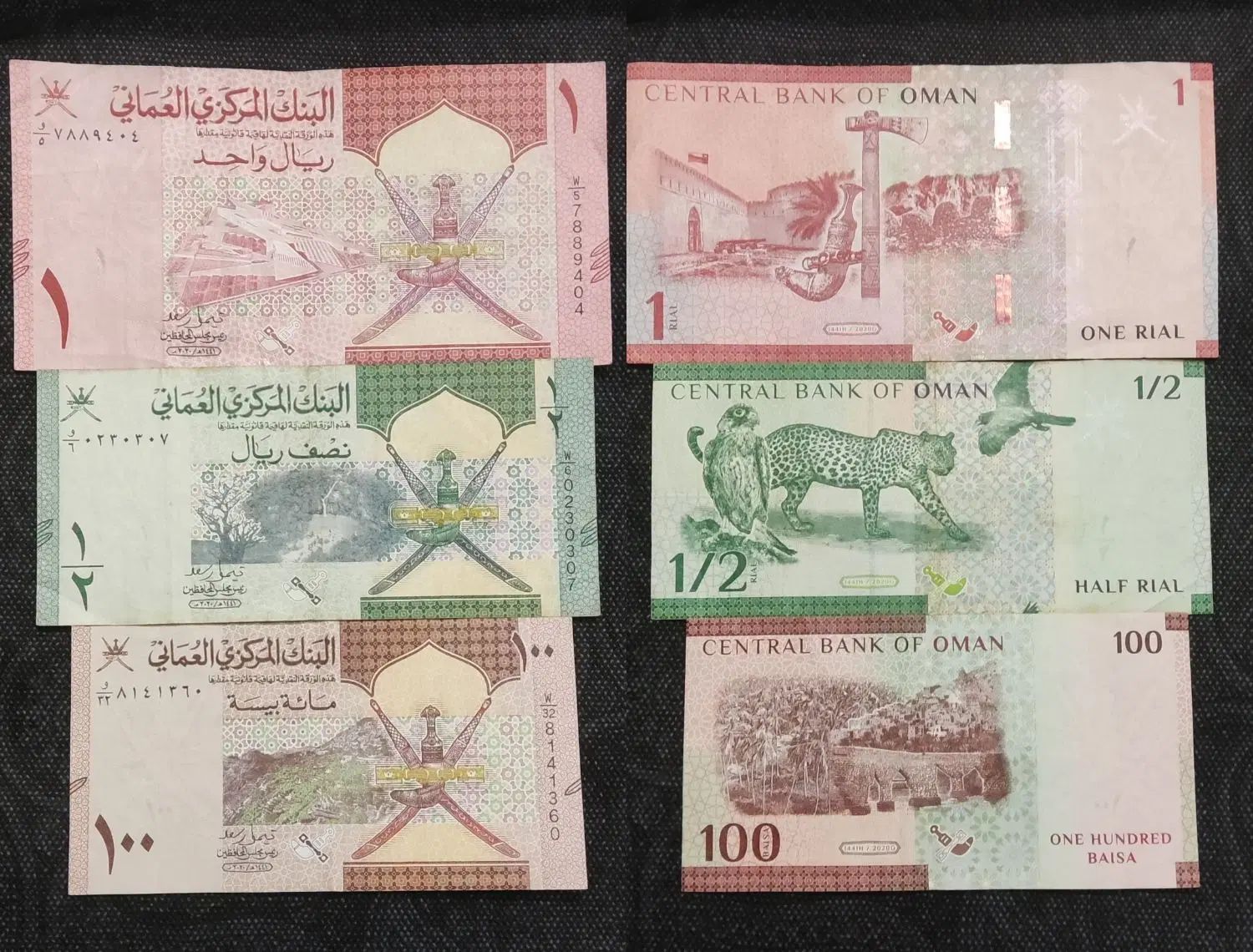 انواع اسکناس کلکسیونی و ارزی و پلیمری|کلکسیون سکه، تمبر، اسکناس|اصفهان, نقش جهان|دیوار