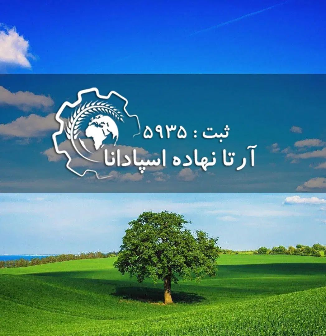 کارشناس دیجیتال مارکتینگ و تولید محتوا|استخدام هنری و رسانه|نیشابور, ۲۲ بهمن|دیوار