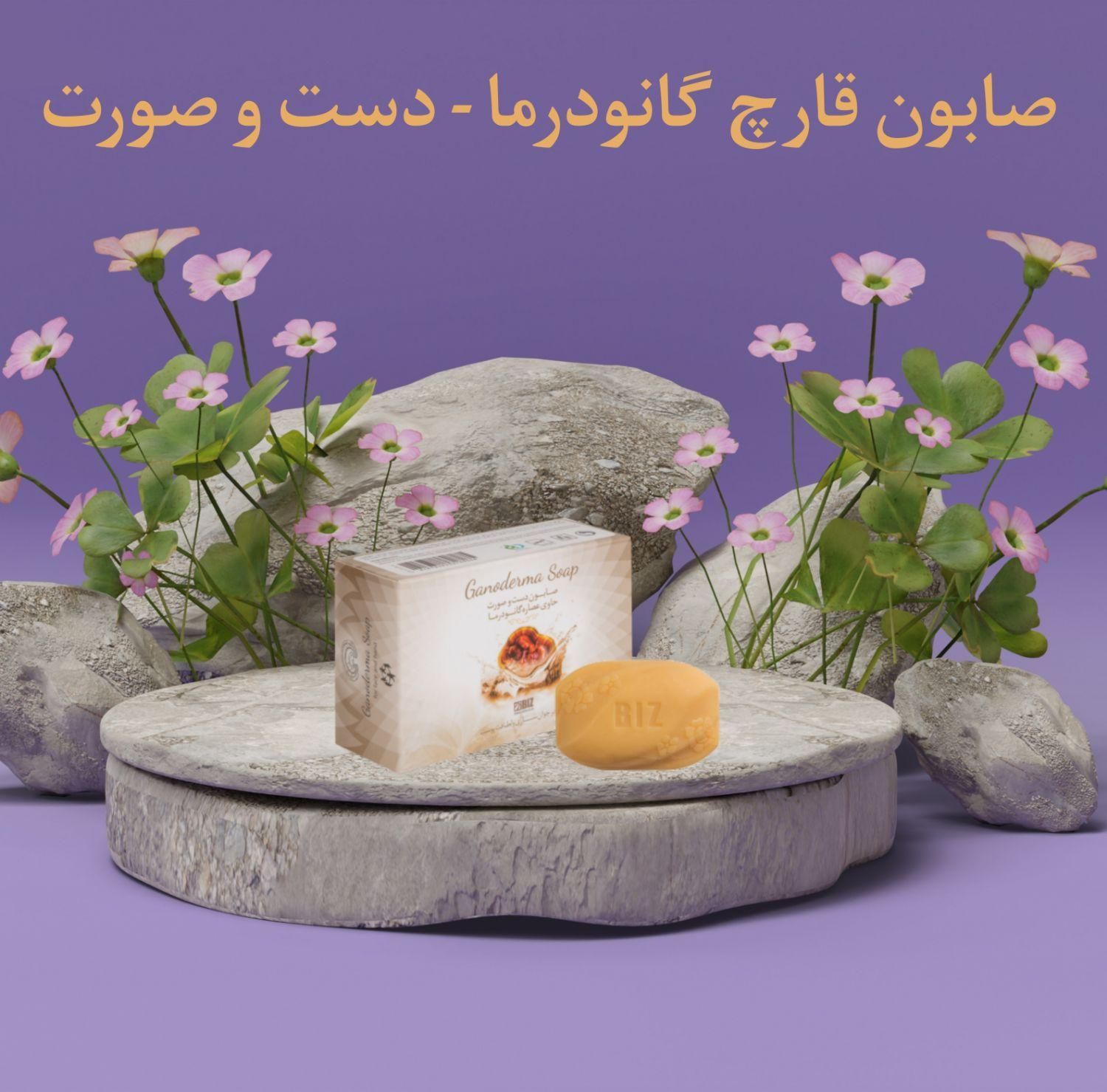 صابون قارچ گانودرما - دست و صورت|آرایشی، بهداشتی، درمانی|رشت, نیروی دریایی|دیوار