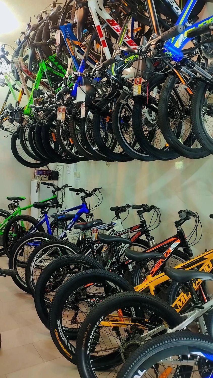 دوچرخه همه مارک|دوچرخه، اسکیت، اسکوتر|کاشان, بازار کاشان|دیوار