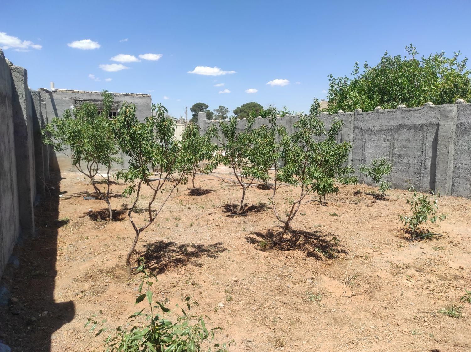 نقلی مزرعه جلال آباد بدون آب معاوضه ماشین و زمین|فروش زمین و ملک کلنگی|نجف‌آباد, جلال آباد|دیوار