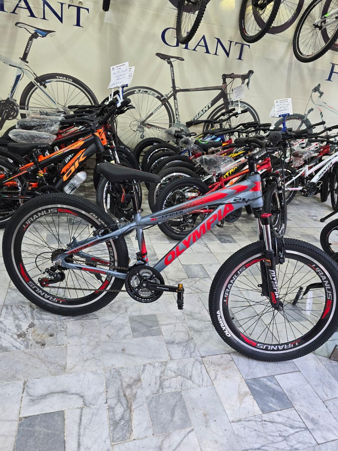 دوچرخه ۲۴ المپیا اسپایدر   OLYMPIA SPIDER|دوچرخه، اسکیت، اسکوتر|قزوین, |دیوار