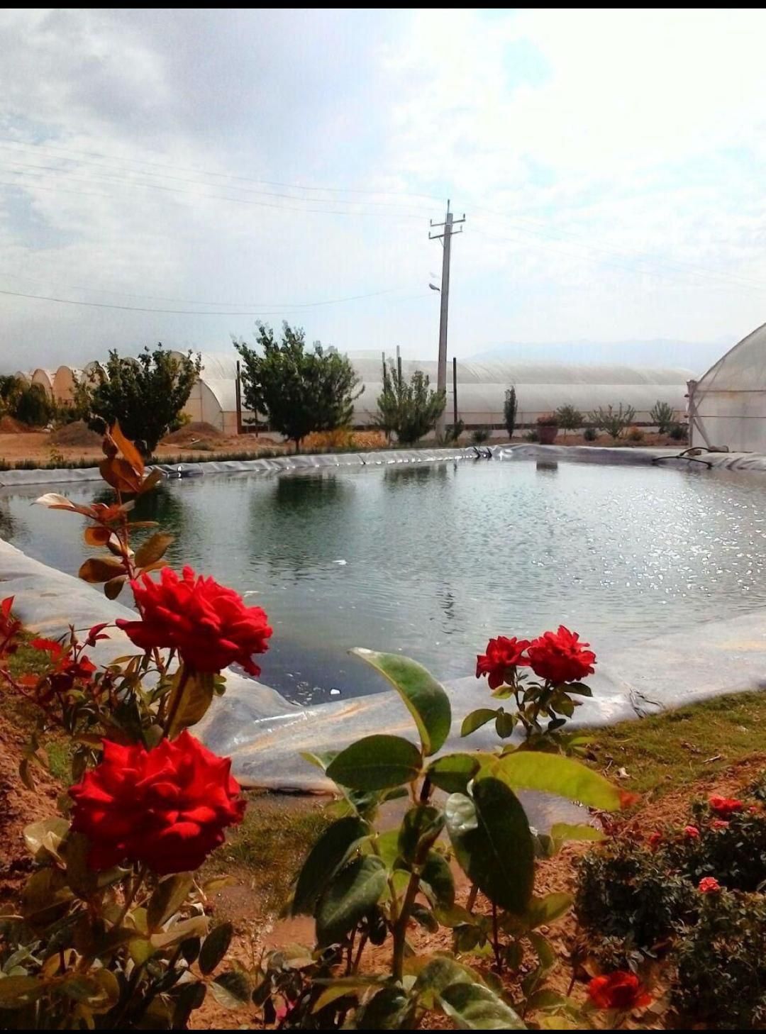 فروش ورق استخر(ژئوممبران)|خدمات پیشه و مهارت|بندر ترکمن, |دیوار