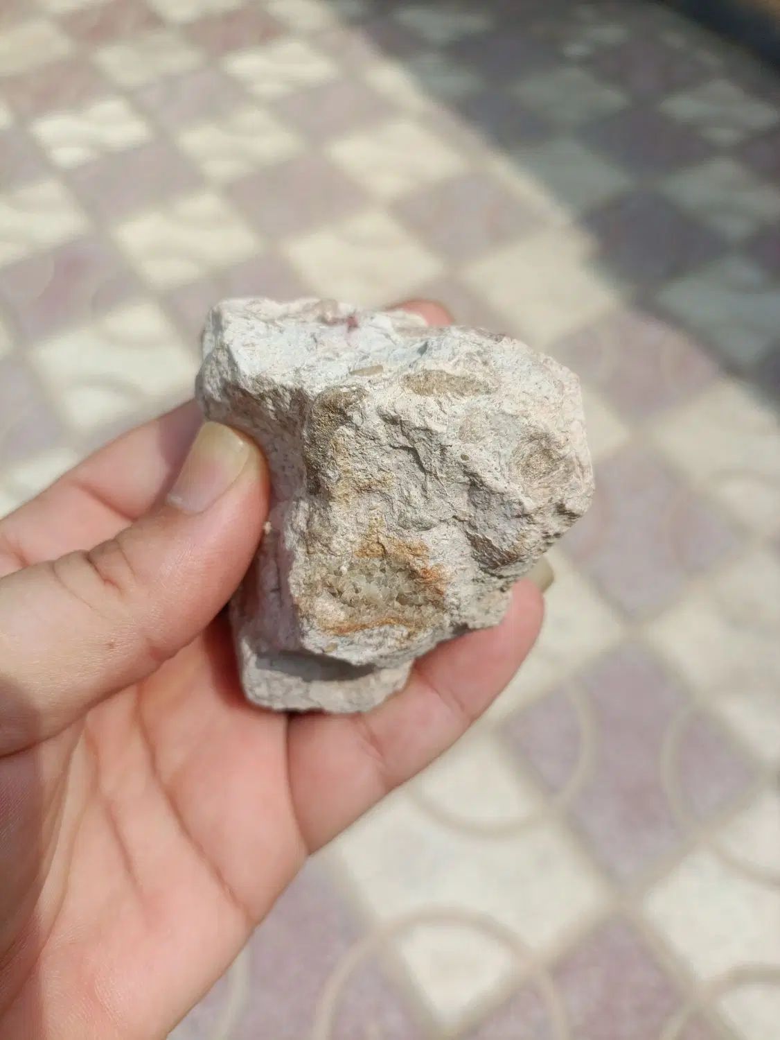 شهاب سنگ دارای فسیل|جواهرات|تهران, ارامنه|دیوار