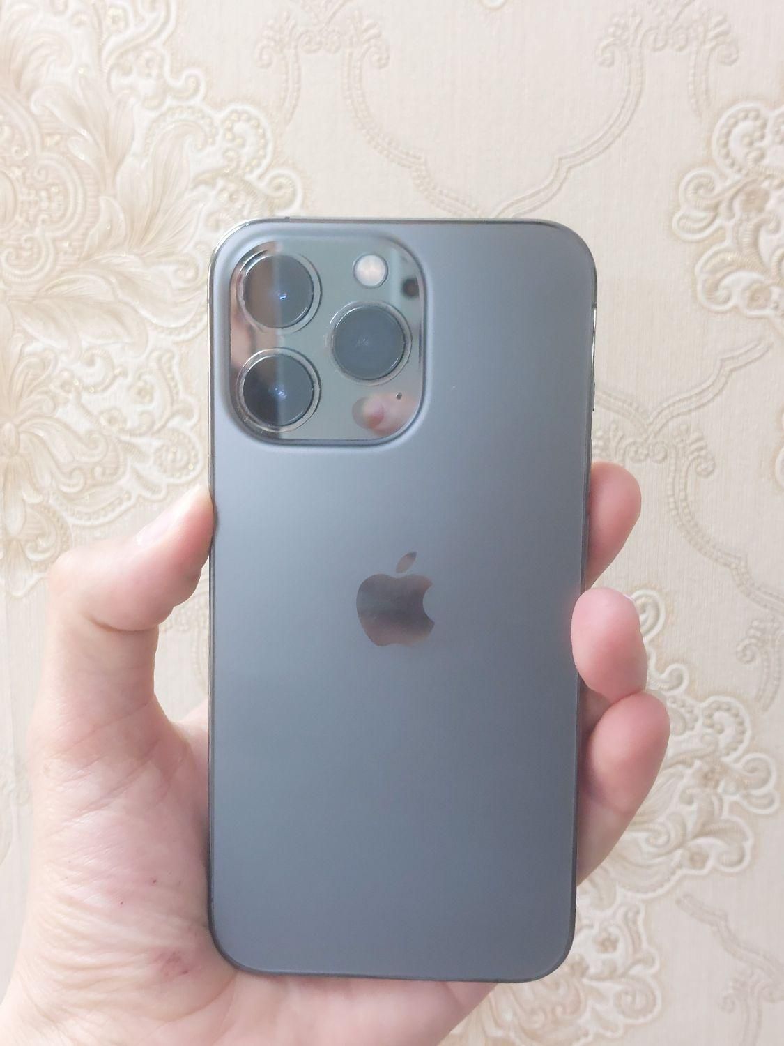 اپل iPhone 13 Pro با حافظهٔ ۱ ترابایت|موبایل|ری, دولت‌آباد|دیوار