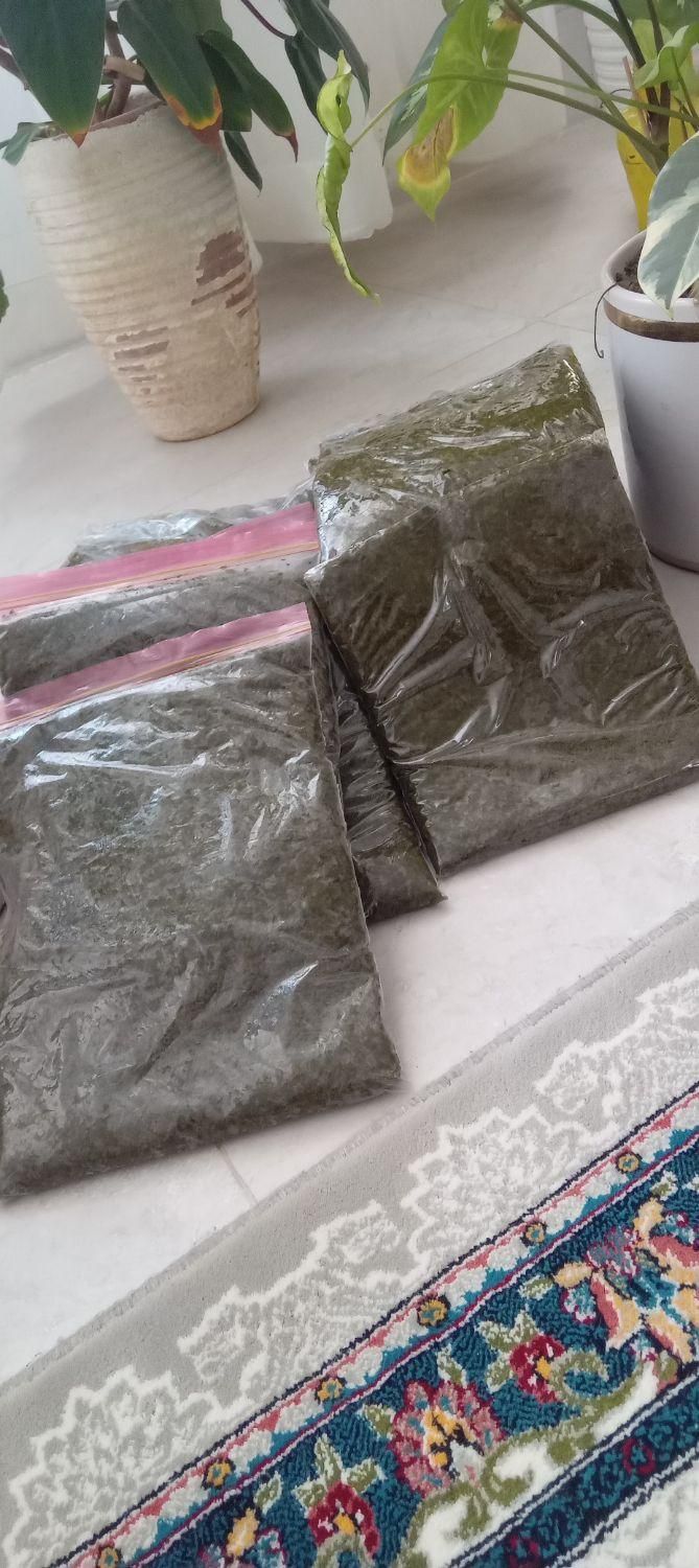 سبزی قرمه سرخ شده|خوردنی و آشامیدنی|نیشابور, شهرک اندیشه|دیوار