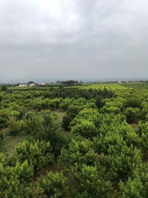 فروش خانه ویلایی استخر دار۲۰۰ متری ۲ خوابه|فروش خانه و ویلا|ساری, |دیوار