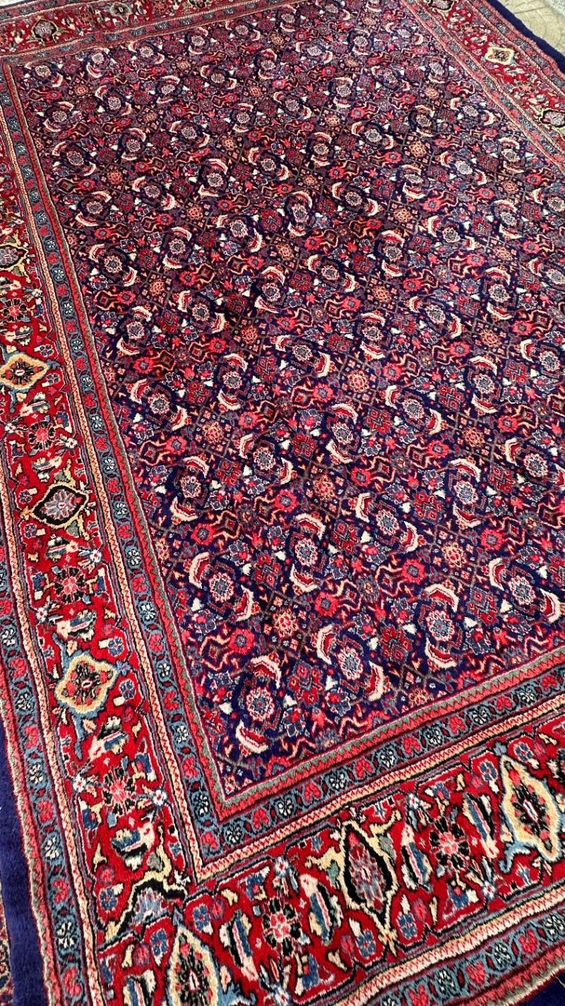 فرش‌قهرمانی ۱۲ متری دستبافت ماهی سراسر|فرش|اراک, |دیوار