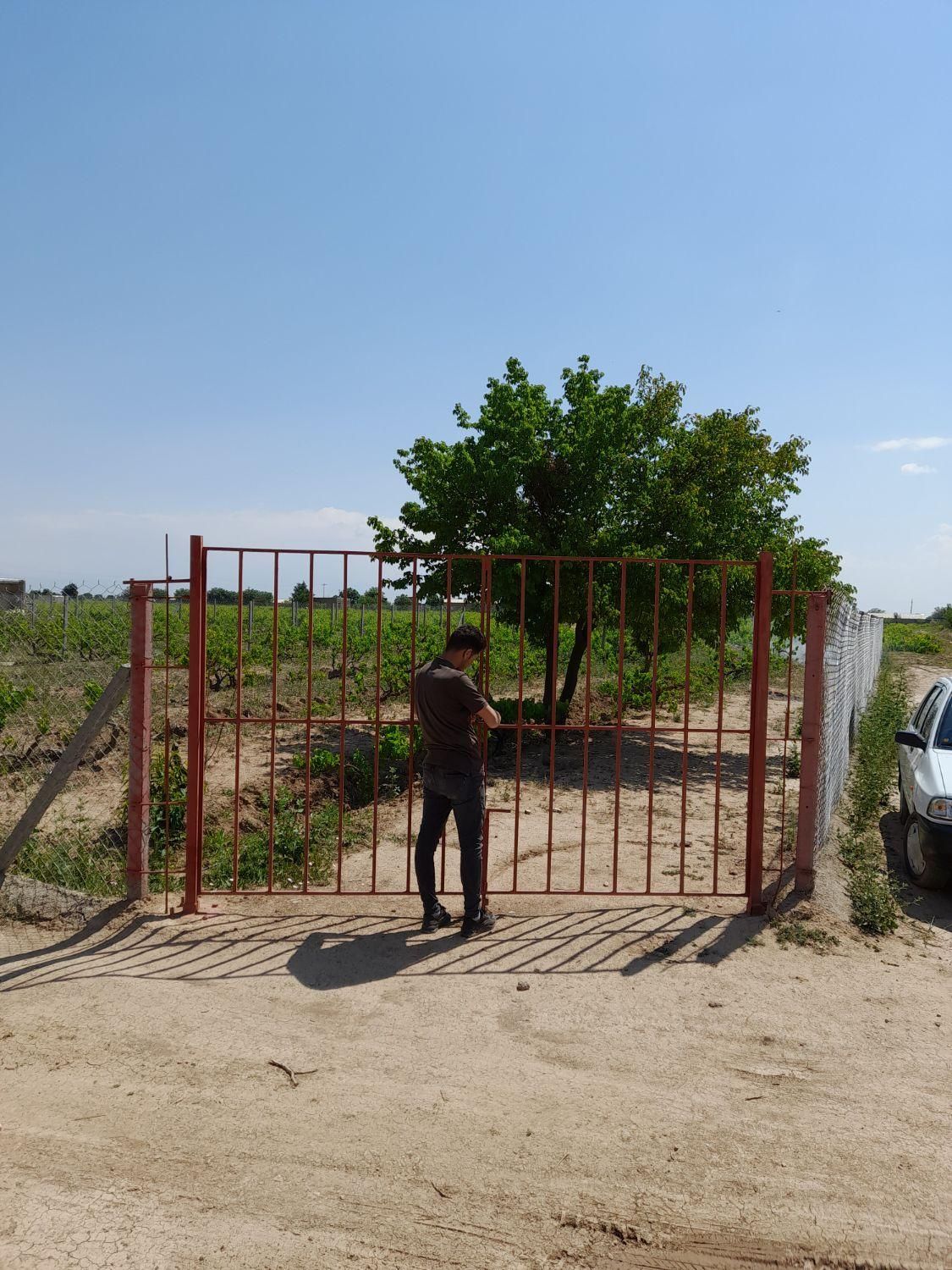 باغ انگور زیبا ،دنج با محیطی آرام در تاکستان|فروش دفتر صنعتی، کشاورزی، تجاری|تاکستان, |دیوار