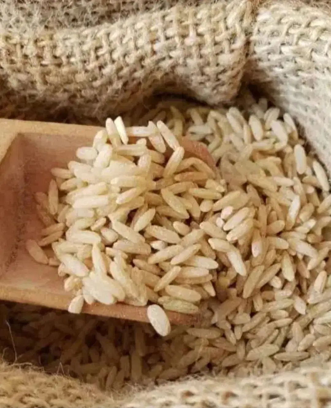 برنج  محلی یاسوج|خوردنی و آشامیدنی|اصفهان, گلستان|دیوار