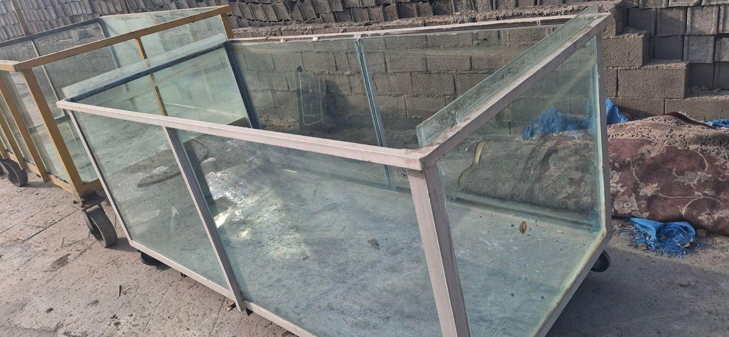 آکواریوم|ماهی|چمستان, |دیوار