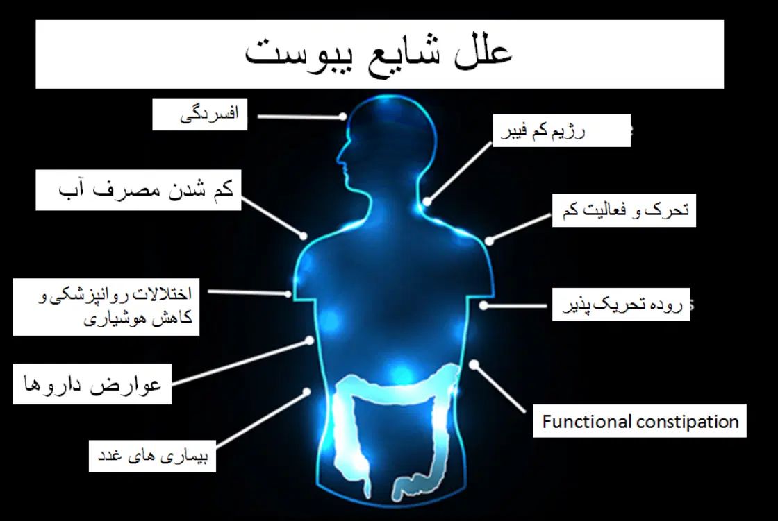 پایان یبوست ،آغاز سلامتی|آرایشی، بهداشتی، درمانی|تهران, شهرک چیتگر|دیوار