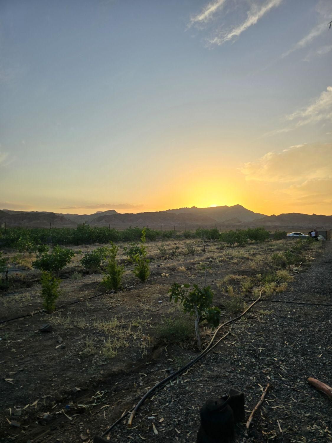 باغچه ۲۰۰۰هزارمتری در جاده کاشان|فروش خانه و ویلا|قم, شهر قائم|دیوار
