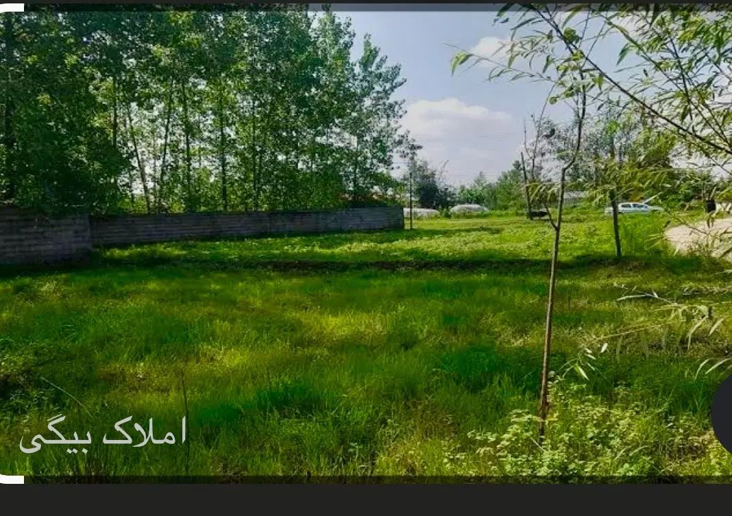 فروش زمین در اقدسیه افشاریه طاووسیه چهار باغ|فروش زمین و ملک کلنگی|هشتگرد, شهرک اقدسیه|دیوار
