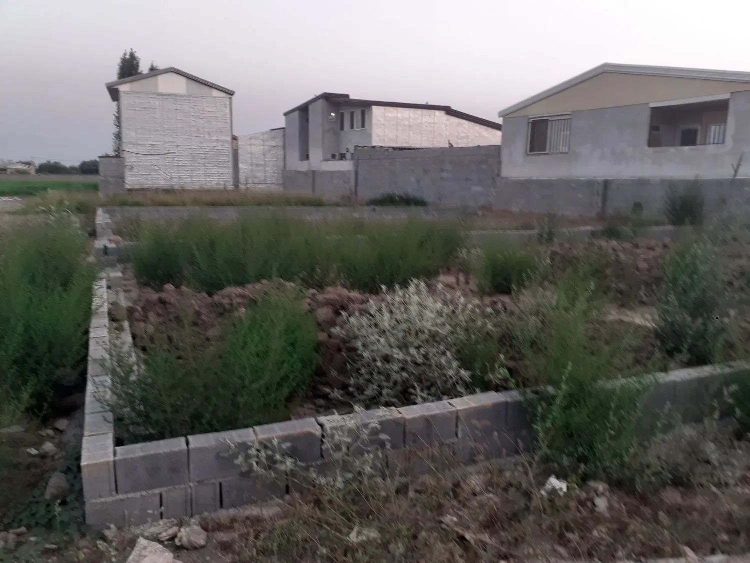 فروش زمین ۱۹۲ متری بابلسر روستای ساحلی میرود|فروش زمین و ملک کلنگی|بابلسر, |دیوار