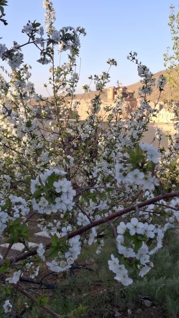 ۲۰۰متر نقلی باجوازساخت شهرک طهرانی ها|فروش زمین و ملک کلنگی|تهران, تهرانپارس شرقی|دیوار