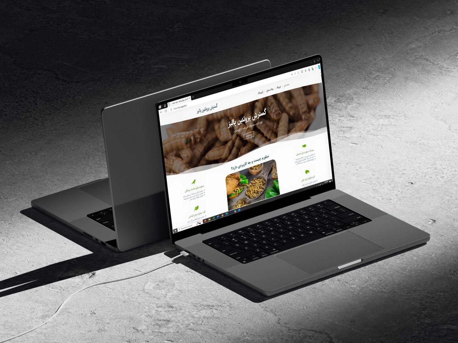 طراحی وب‌سایت‌ + پشتیبانی و سئو|خدمات رایانه‌ای و موبایل|نیشابور, ۲۲ بهمن|دیوار