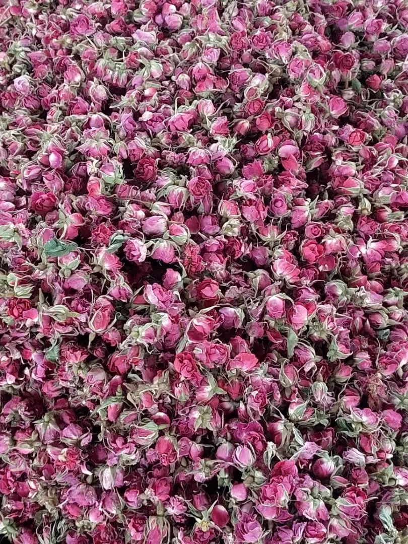 سرمایه گذاری و استخدام جهت تحویل هل .فرش .گل|استخدام مالی، حسابداری، حقوقی|تهران, آذربایجان|دیوار