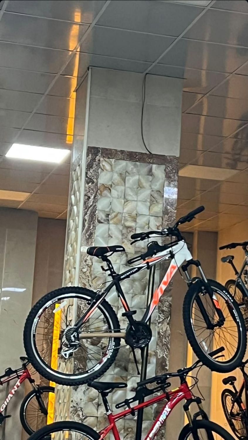 دوچرخه ویوا اورجینال چک بدون سود|دوچرخه، اسکیت، اسکوتر|قم, امامزاده ابراهیم|دیوار