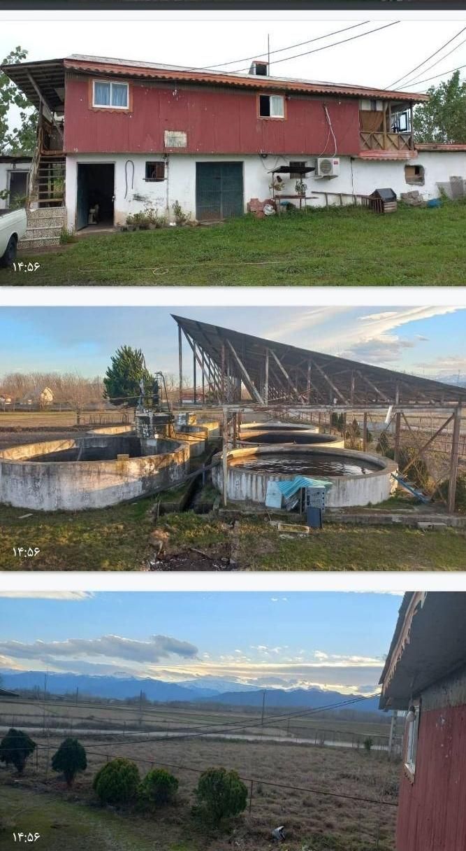 فروش۹هزارمتر مزرعه پرورش ماهی قزل الاوزمین مسکونی|فروش دفتر صنعتی، کشاورزی، تجاری|شاندرمن, |دیوار