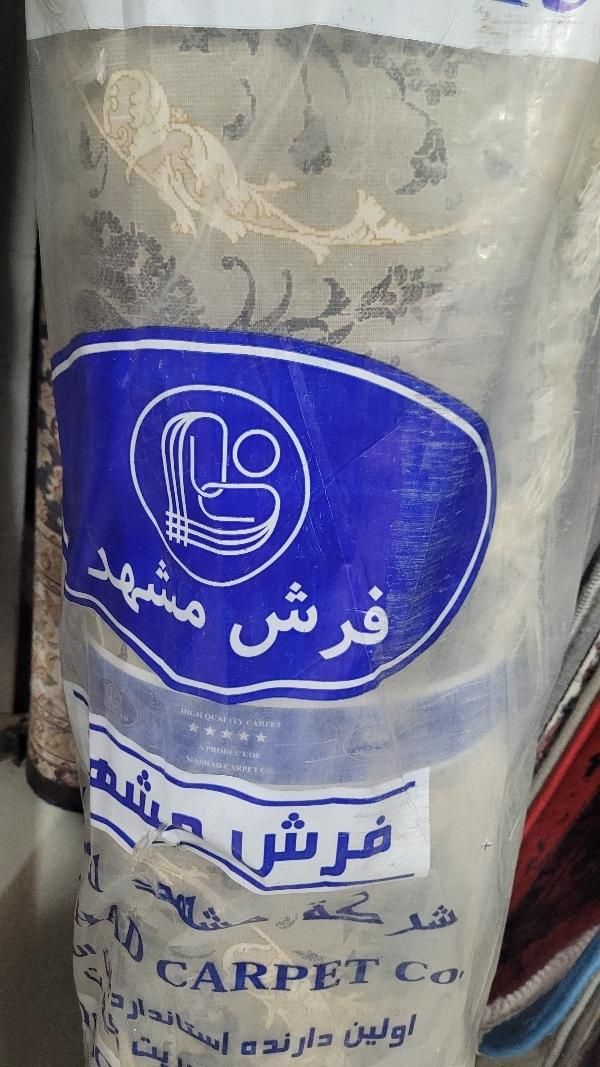 ۱۷۰۰ شانه سبز جدید ترین|فرش|گلبهار, شهر جدید گلبهار|دیوار