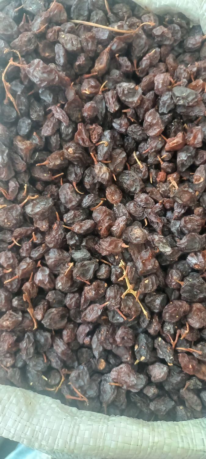 کشمش دیم|خوردنی و آشامیدنی|ارومیه, |دیوار