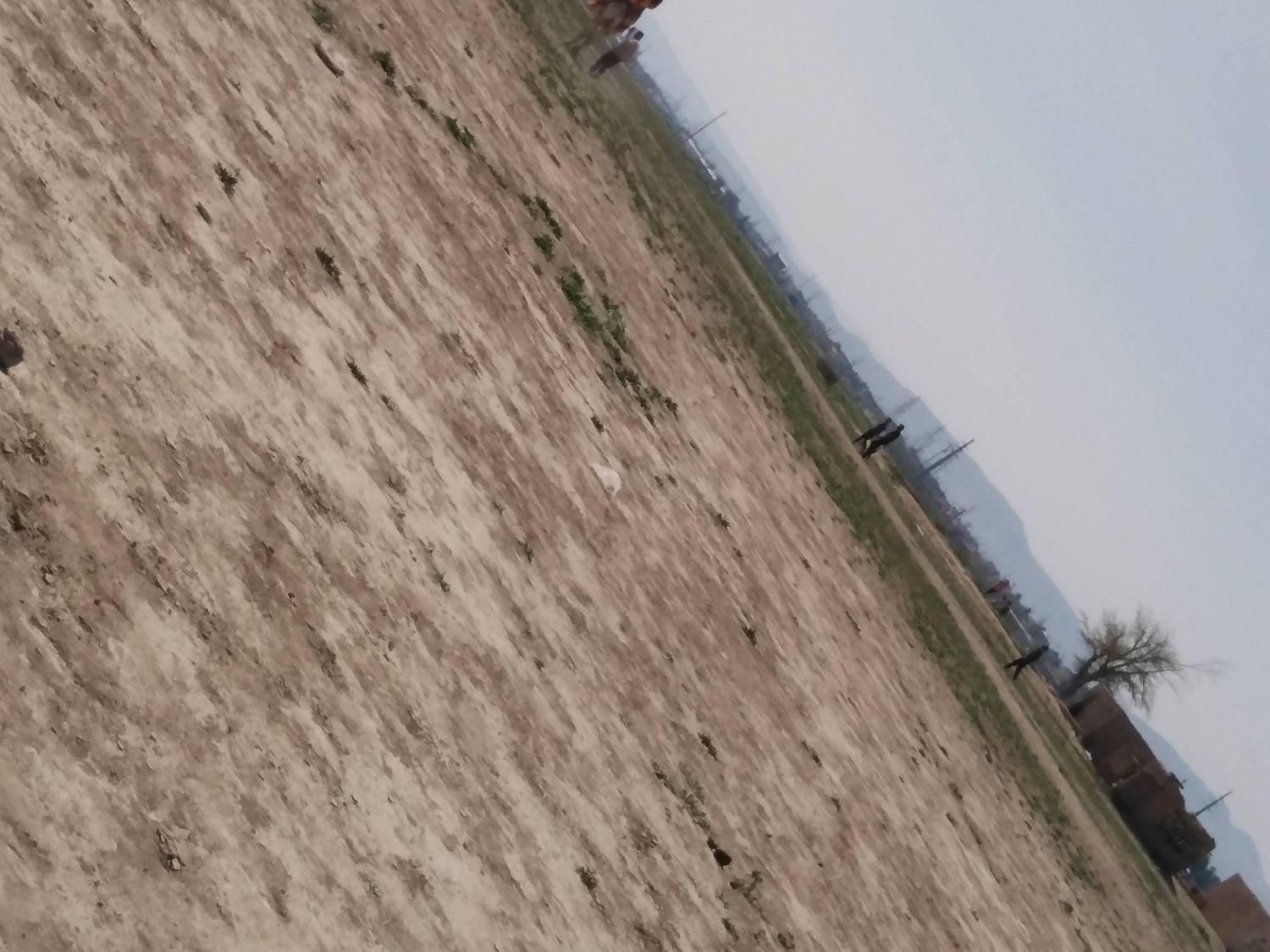 فروش زمین ۱۰۷۰ متری در ثبت احوال|فروش زمین و ملک کلنگی|مرودشت, ثبت احوال|دیوار