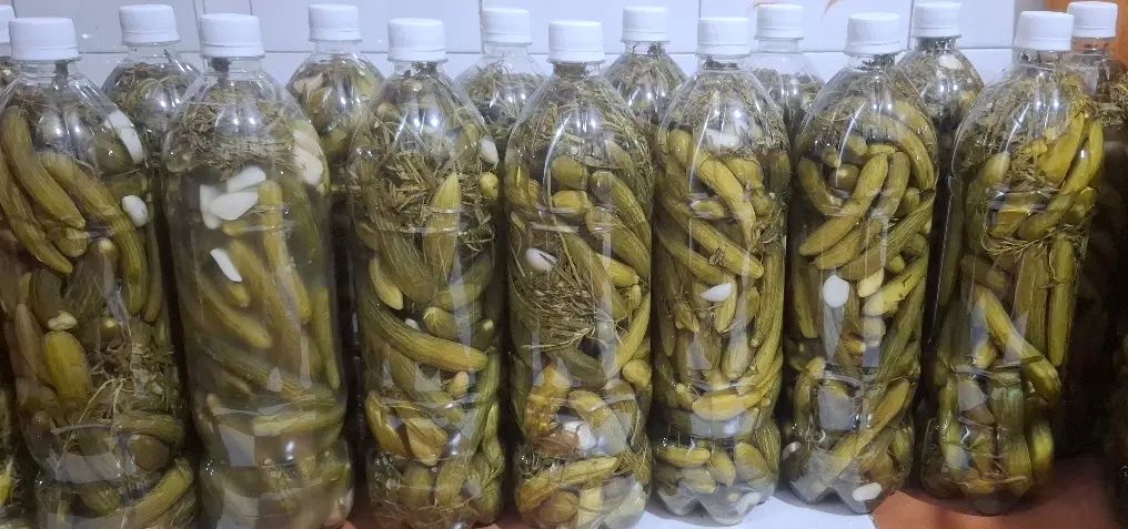 خیارشور خانگی|خوردنی و آشامیدنی|اصفهان, عطار نیشابوری|دیوار