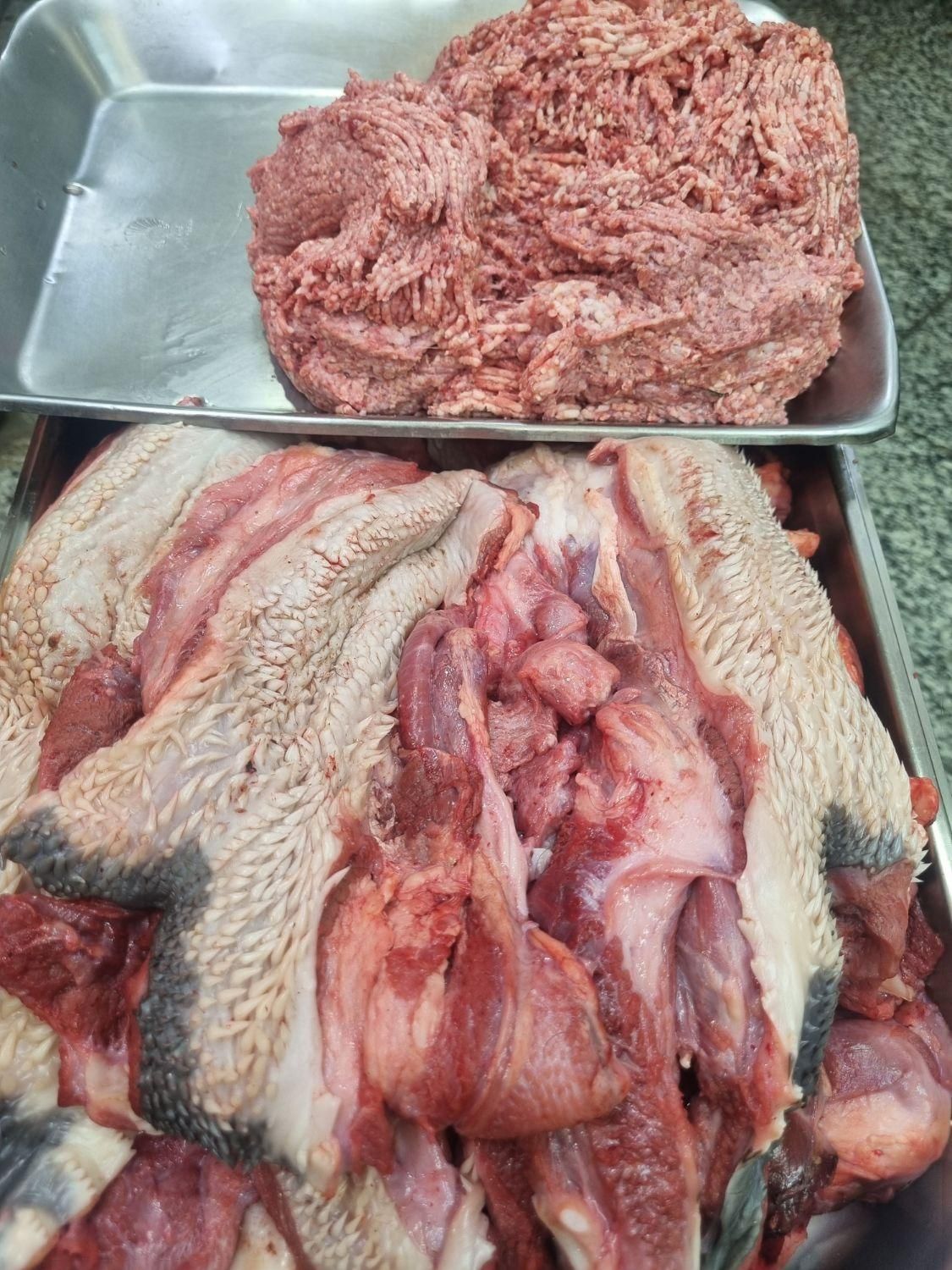 گوشت سر گوساله آبگوشتی وچرخی کیلو ۱۹۹۰۰۰|خوردنی و آشامیدنی|قم, ارم|دیوار