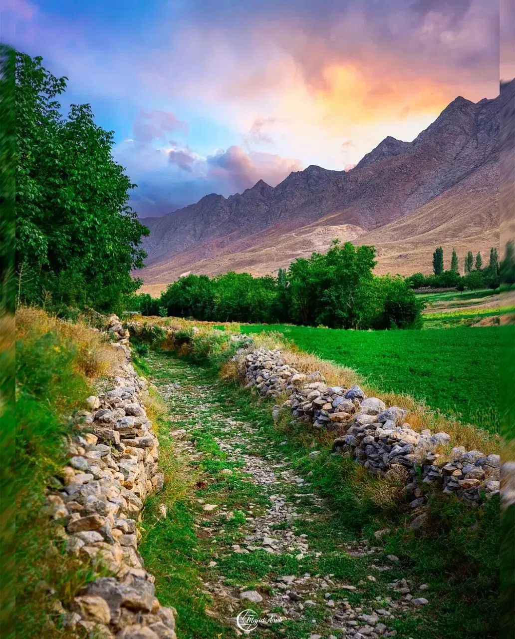 سویت اپارتمان ۵۰ متری زرهی شبان رفاه هوابرد|فروش آپارتمان|شیراز, زرهی|دیوار