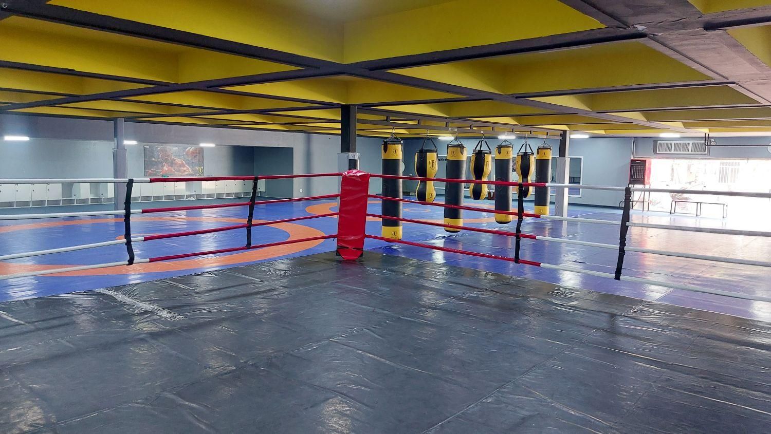 آموزش mma،بوکس،دفاع شخصی|خدمات آموزشی|تهران, دهکده المپیک|دیوار