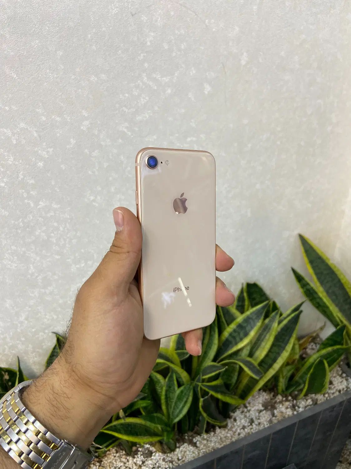 اپل iPhone 8حافظه۶۴یاهرنوع ایفون که بخوای بدون پیش|موبایل|اصفهان, احمدآباد|دیوار