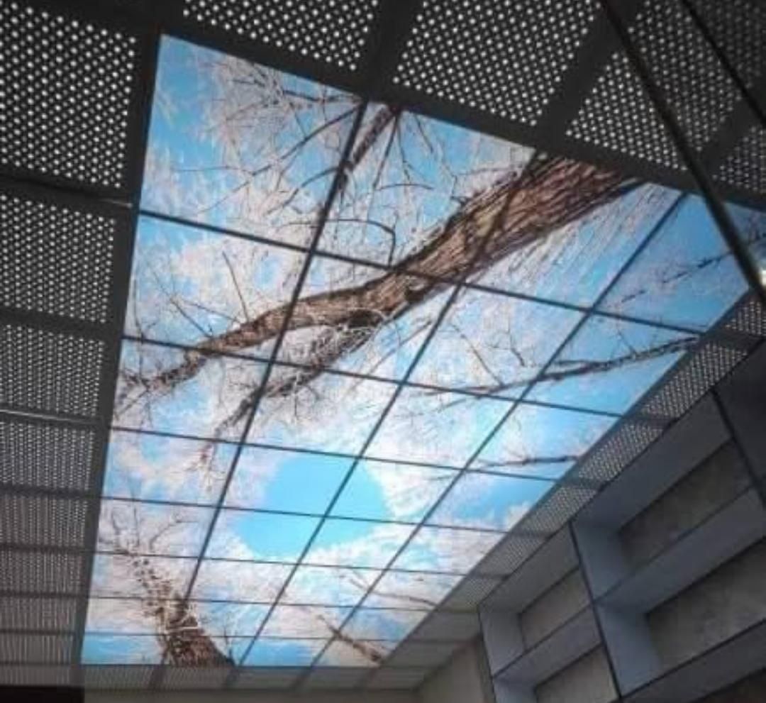 سقف کاذب pvc /پارتیشن بندی / برچسب کابینت /|خدمات پیشه و مهارت|زنجان, |دیوار