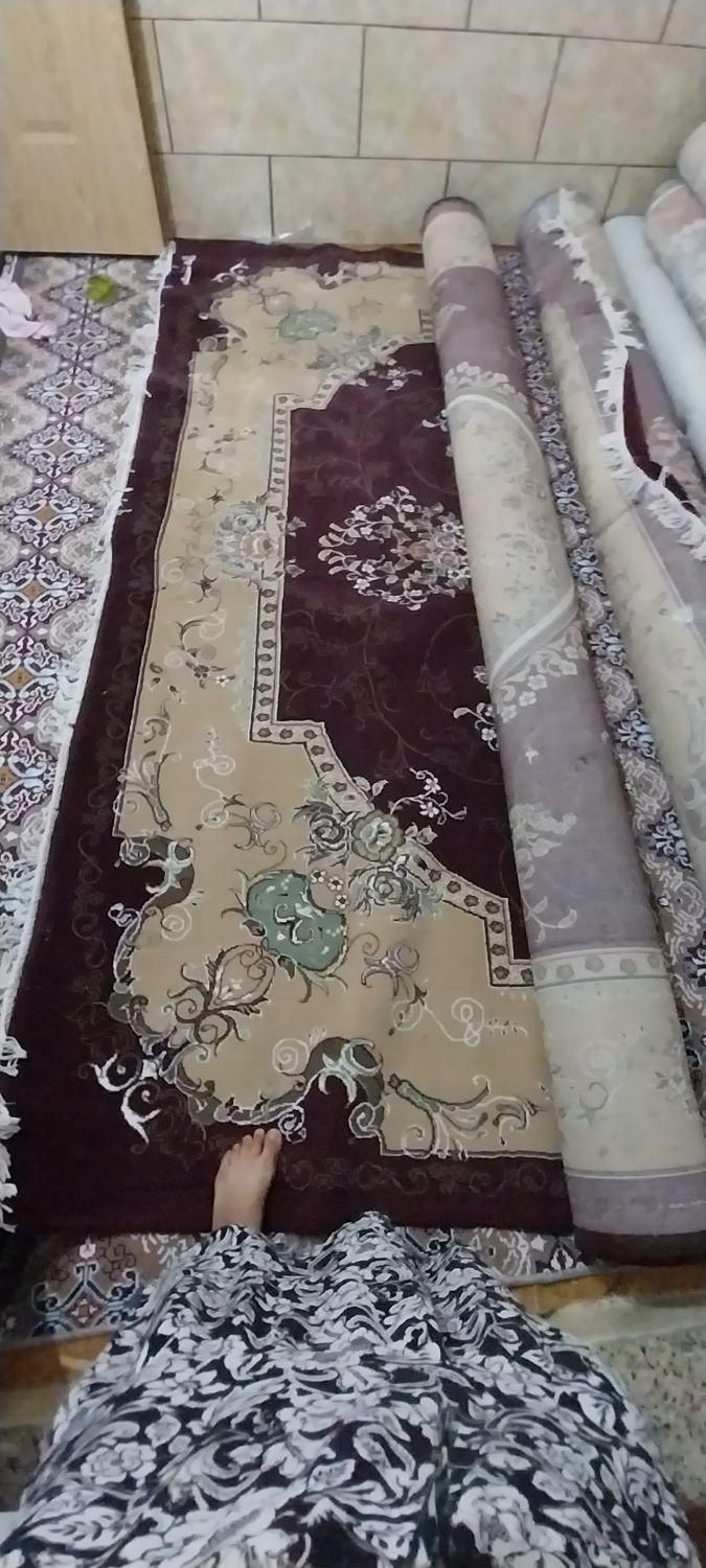 قالی|فرش|بندر ماهشهر, |دیوار