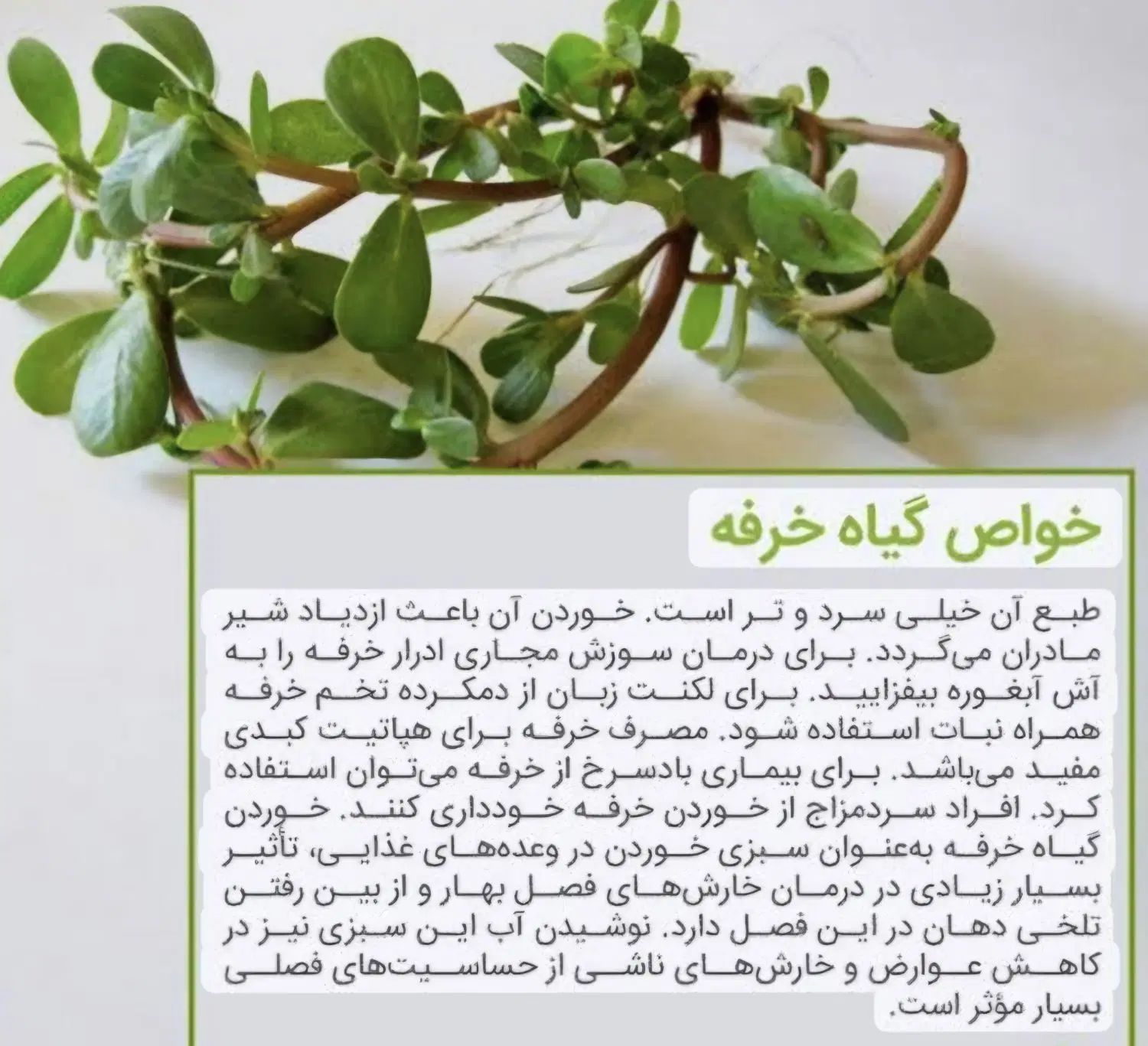 خرفه خشک فله|خوردنی و آشامیدنی|تهران, جنت‌آباد جنوبی|دیوار