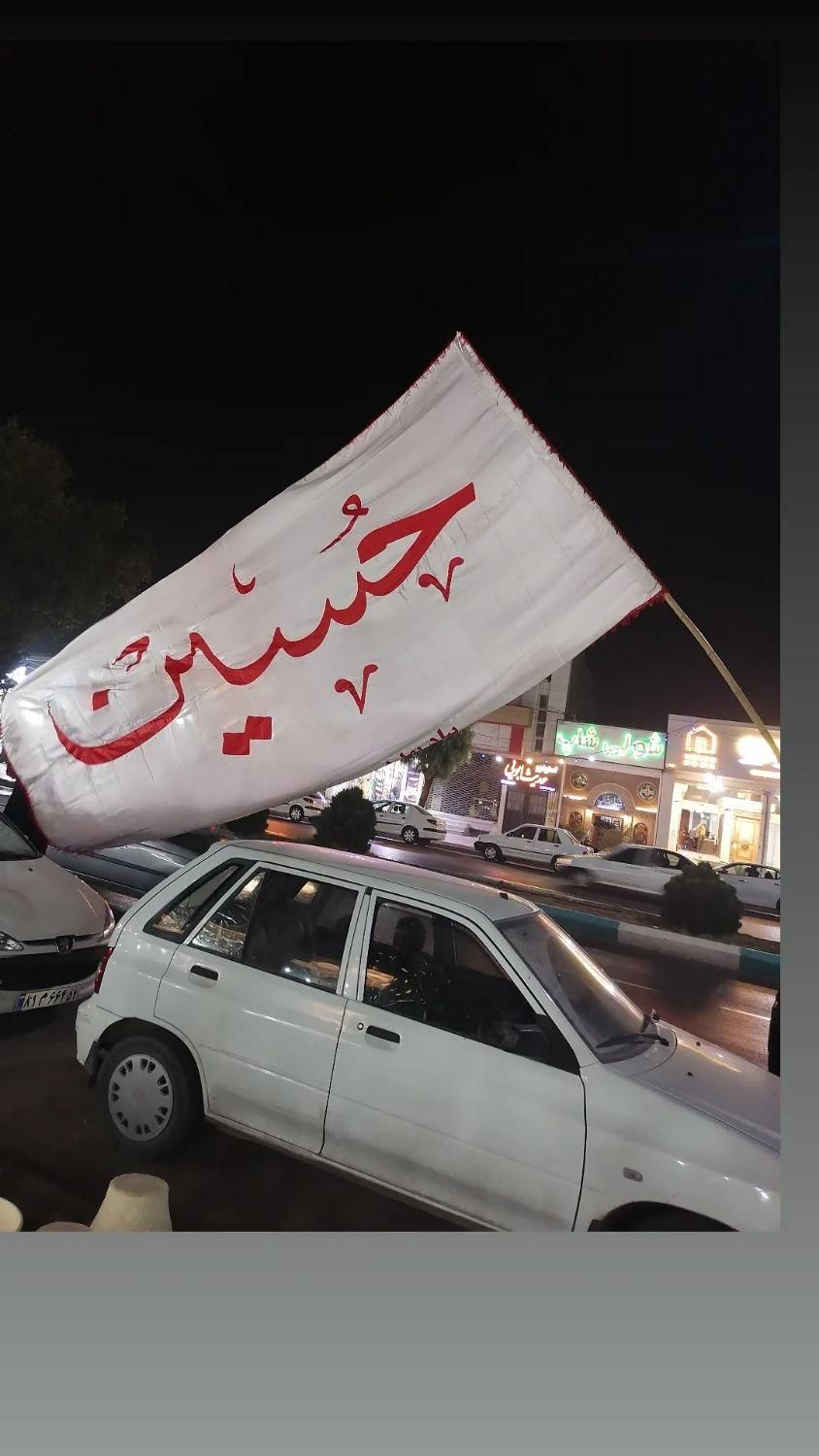 چوب بامبو|مجسمه، تندیس، ماکت|یزد, |دیوار