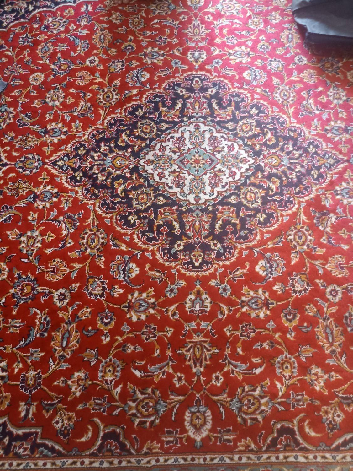 قالی 12 متری|فرش|گرگان, |دیوار