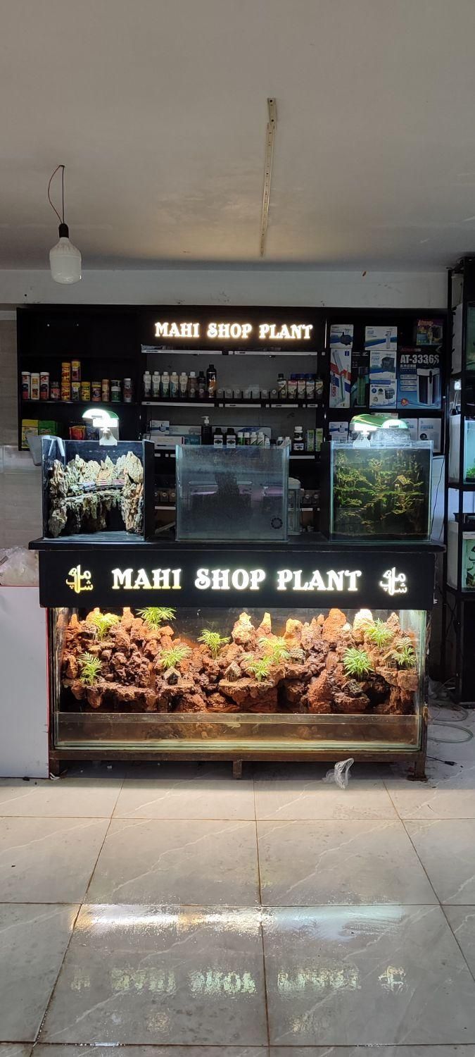 اکواریوم ماهی شاپ|ماهی|اسلامشهر, شهرک واوان|دیوار