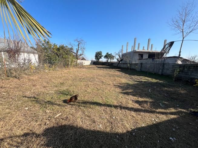 زمین ۵۷۵ متری مسکونی /سند تک برگ / روستای چکو‌پشت|فروش زمین و ملک کلنگی|رضوانشهر, |دیوار