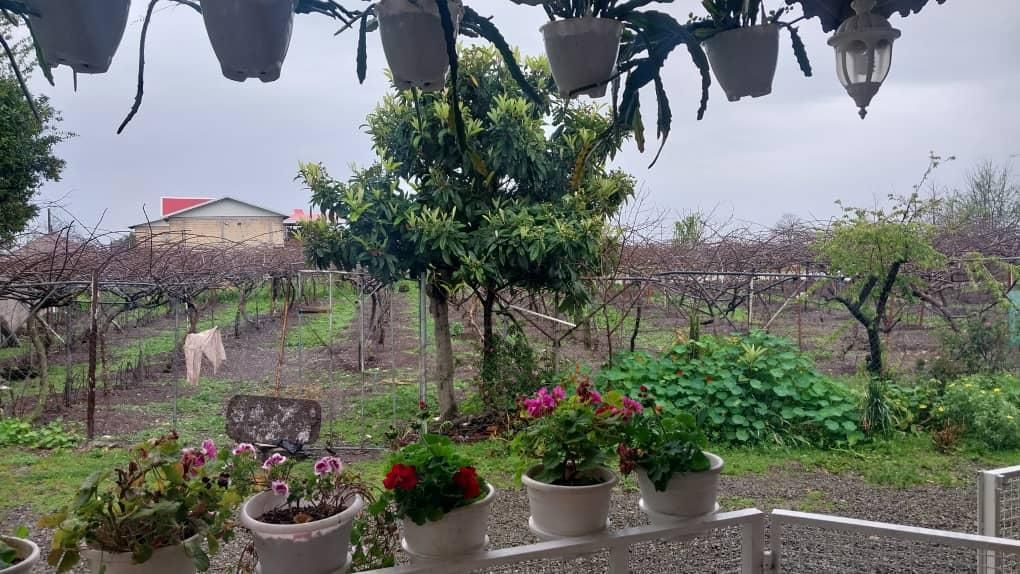 ویلای تمیز. دور همی.تولد.عقد کنان تا ۵۰ نفر|اجارهٔ کوتاه‌مدت ویلا و باغ|تالش, طولارود|دیوار