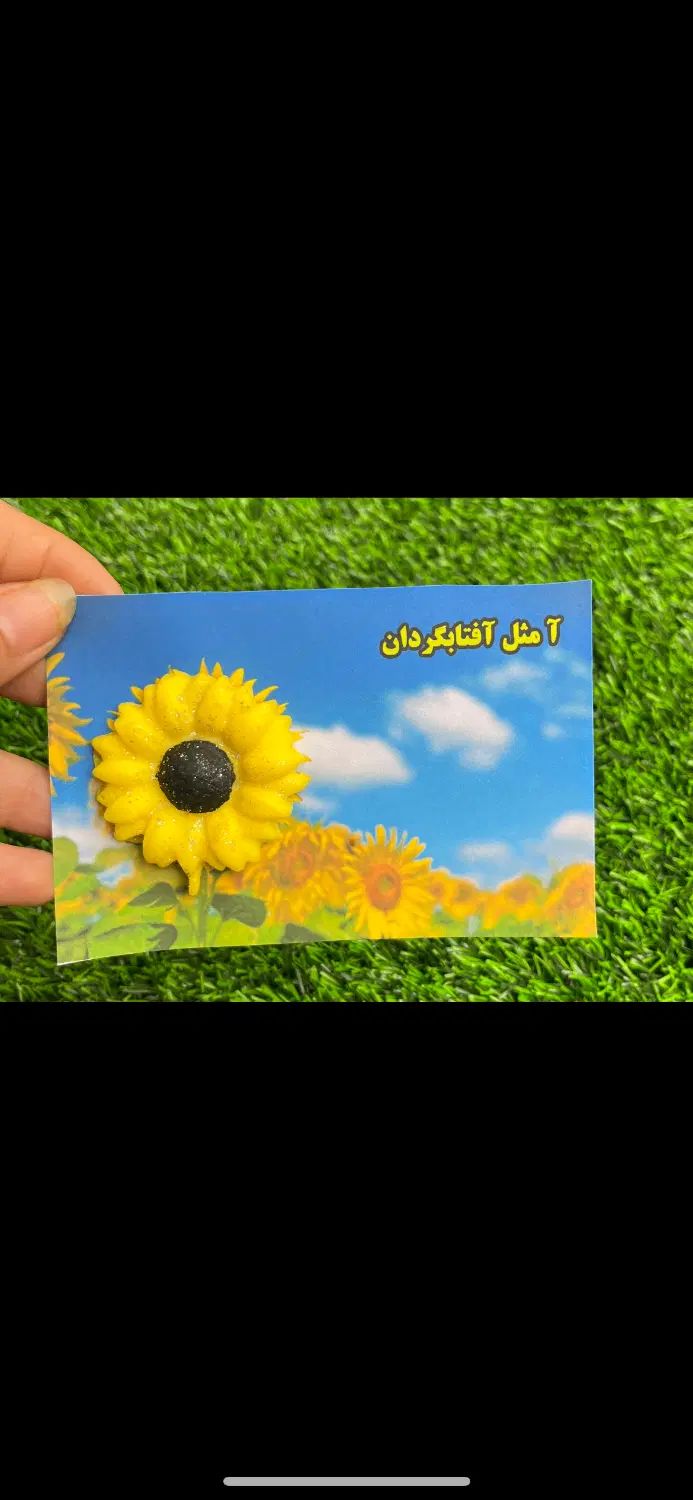 گیفت های جشن شکوفه ها و جشن اغاز سال تحصیلی|لوازم التحریر|تهران, فلسطین (میدان انقلاب)|دیوار