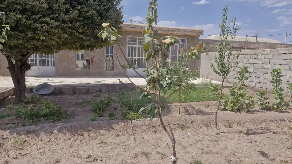 خونه به متراج ۵۲۰ متر ۱۶۰ متر زیر بنا در بردسیر|فروش خانه و ویلا|بردسیر, |دیوار
