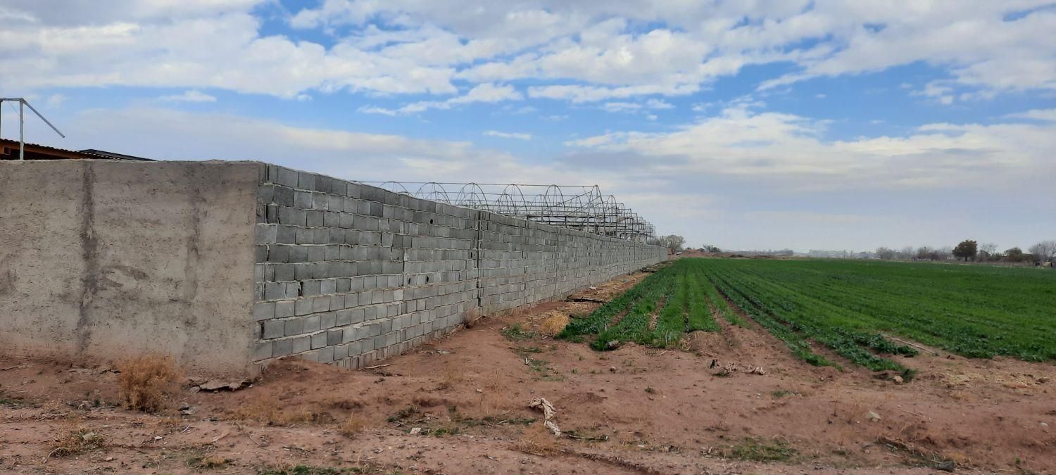 گلخانه فروشی|فروش دفتر صنعتی، کشاورزی، تجاری|اقبالیه, |دیوار