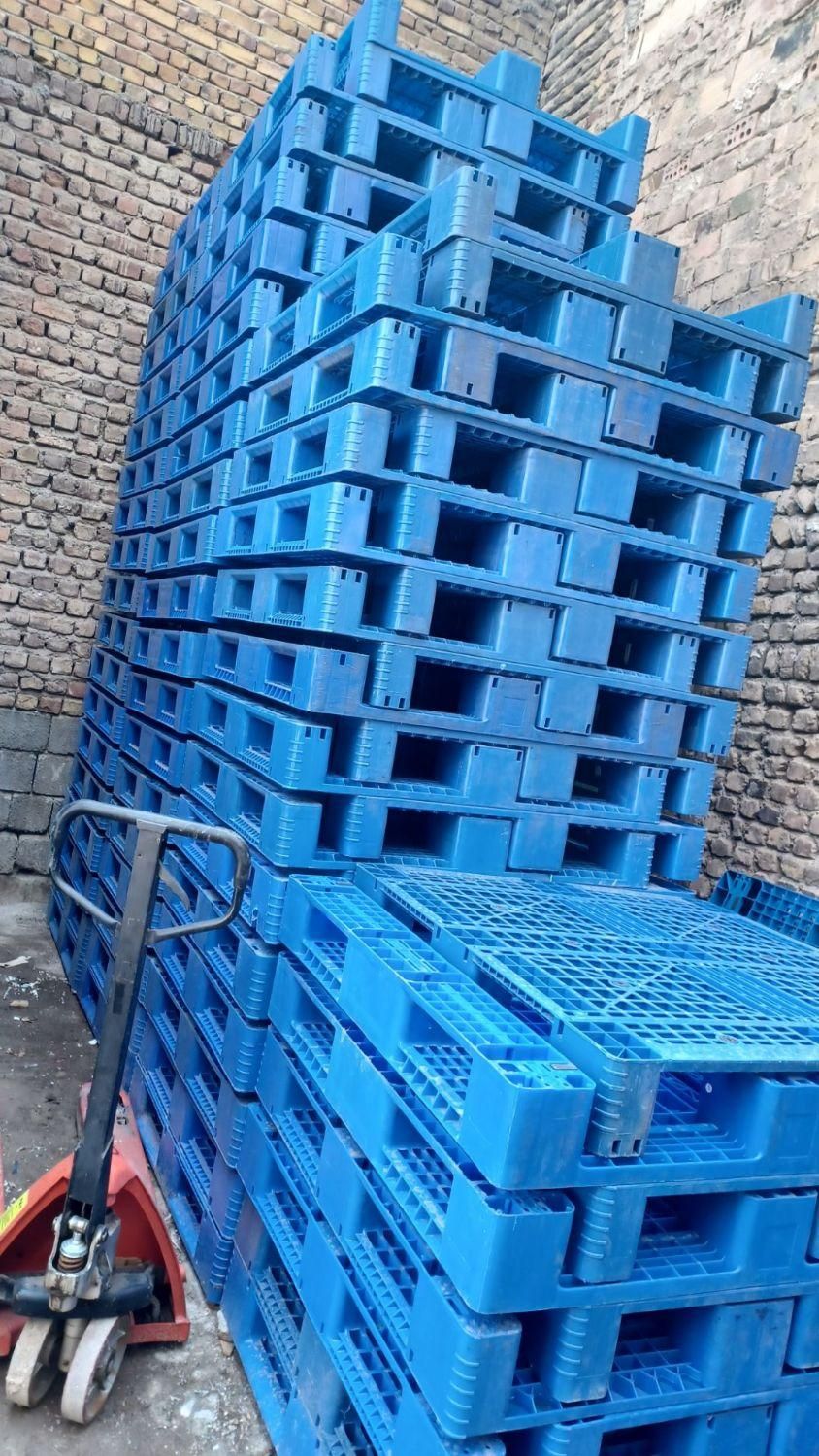 پالت چوبی پالت پلاستیکی|عمده‌فروشی|صفادشت, |دیوار