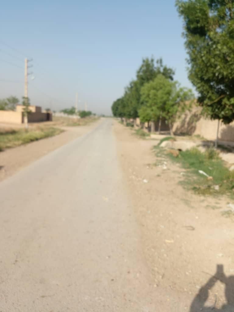 زمین زراعی/مناسب باغ پسته/ گلخانه/ زیر قیمت|فروش دفتر صنعتی، کشاورزی، تجاری|پیشوا, |دیوار